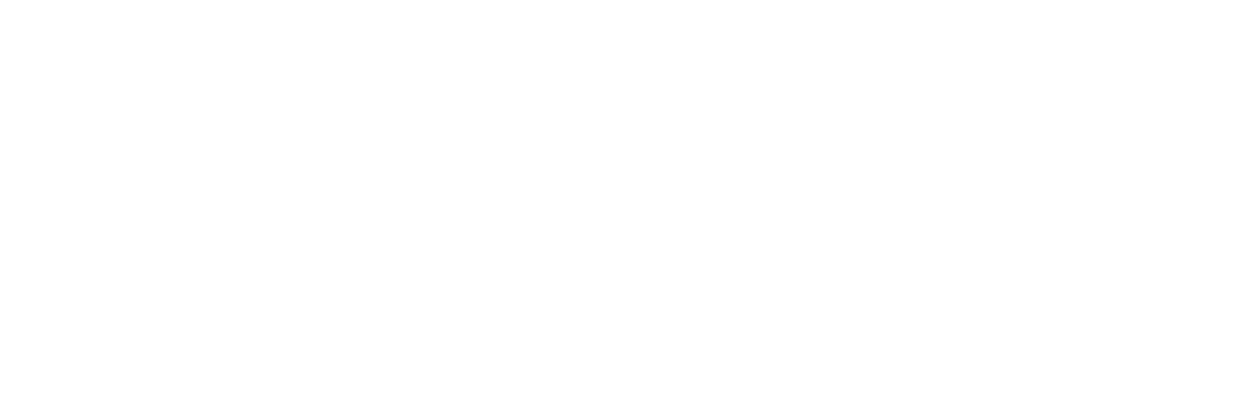 zenviq.de